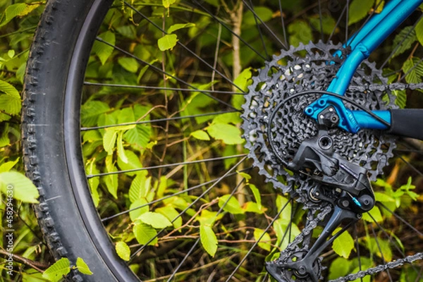 Obraz bicycle parts cassette and chain closeup