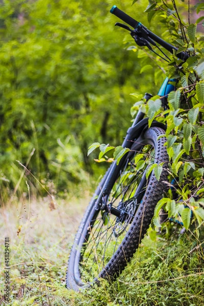 Obraz MTB leaning against a small tree in the Woods