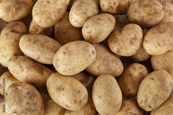 Obraz Świeży Organiczny Cały Ziemniak