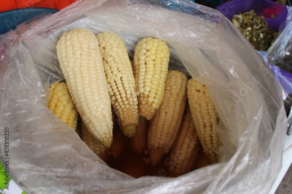 Fototapeta Elotes