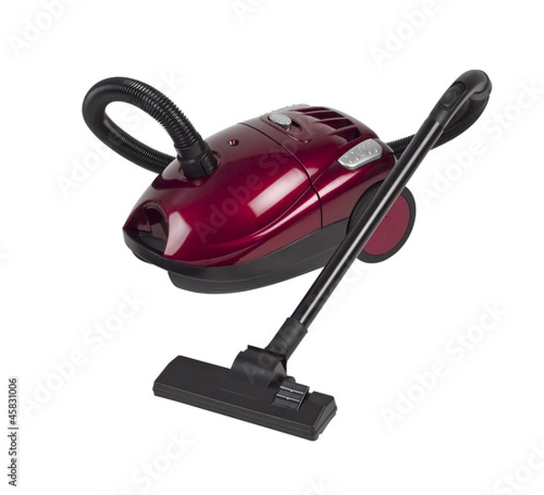 Obraz Vacuum dust cleaner isolated on white