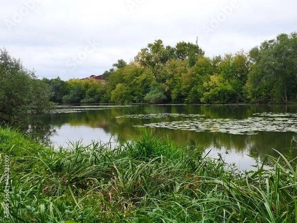Obraz lake in the park