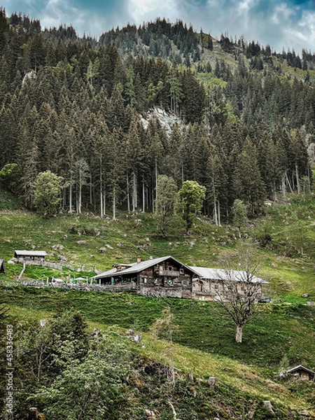 Obraz Hütte in Wald