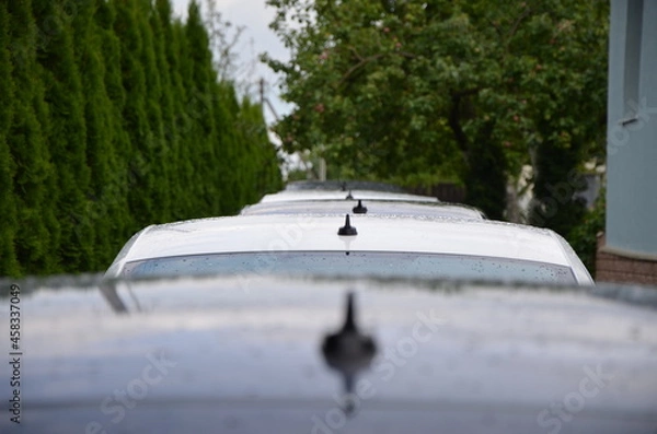 Obraz fountain in the park