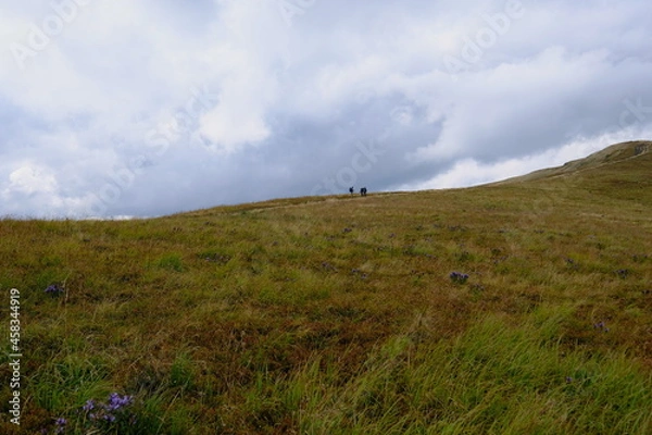 Obraz Three hikers on the trail. Ukraine Eastern Bieszczady Carpathians.