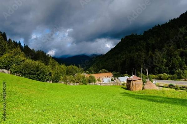 Obraz Agriculture in Ukraine, heaps of hay in a green meadow. Ukraine is the village of Mizhirja.