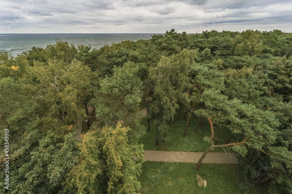 Fototapeta View of the park and the seaside