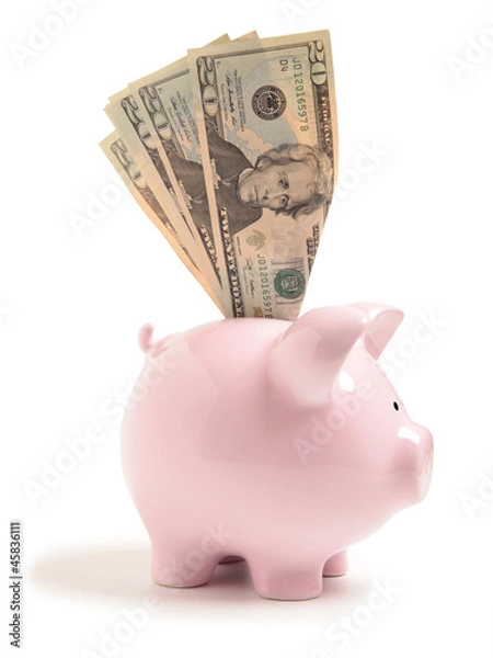Fototapeta Piggy bank isolated