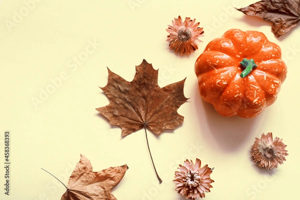 Fototapeta Creative pattern, autumn background. Pumpkin and leaves on a white background. Halloween.