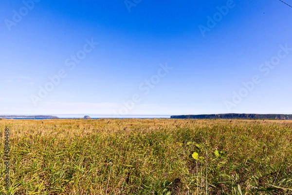 Obraz 初秋の北海道の道東