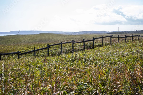 Obraz 初秋の北海道の道東