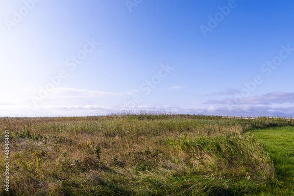 Fototapeta 初秋の北海道の道東