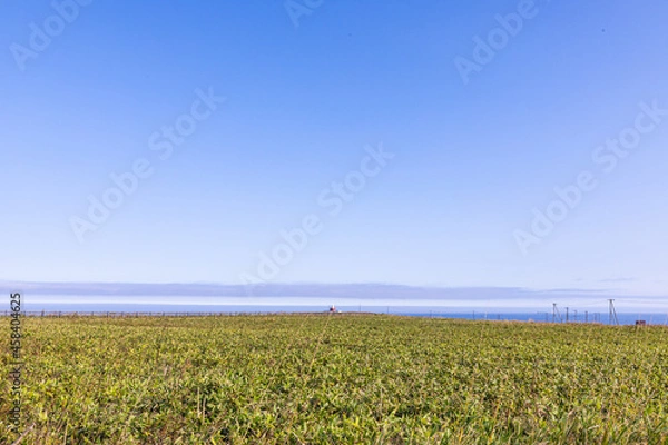 Obraz 初秋の北海道の道東