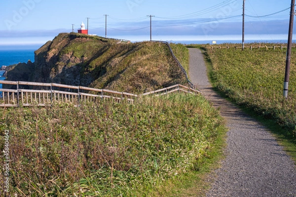 Obraz 初秋の北海道の道東