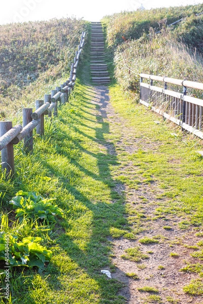 Obraz 初秋の北海道の道東