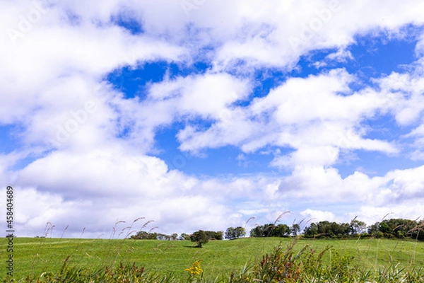 Obraz 初秋の北海道の道東