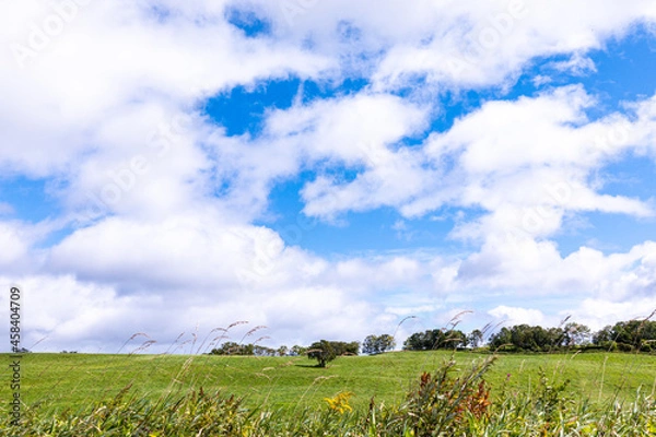 Obraz 初秋の北海道の道東