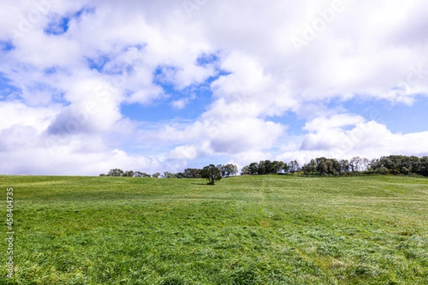 Obraz 初秋の北海道の道東