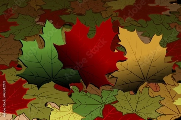 Obraz Autumn - maple leaves