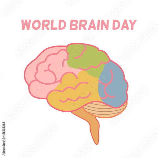 Obraz A colorful brain illustration, world brain day concept 