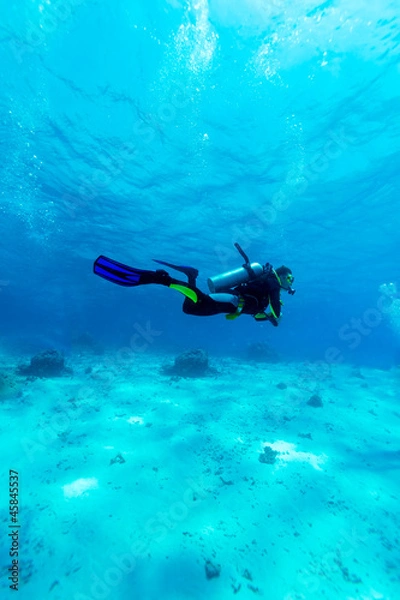 Obraz Silhouette of Scuba Diver near Sea Bottom