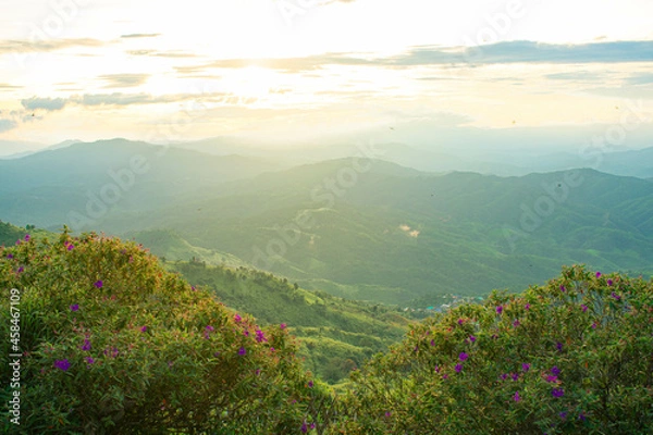 Obraz sunset view on the top of the mountain in the forest nature