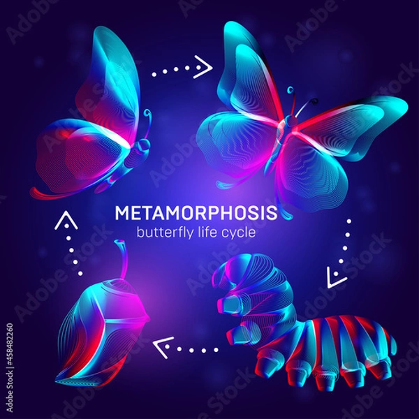 Obraz Metamorphosis concept. Butterfly life cycle banner. 3D vector illustration with abstract stereo neon silhouettes of insects - caterpillar, chrysalis and butterfly transformation process stages