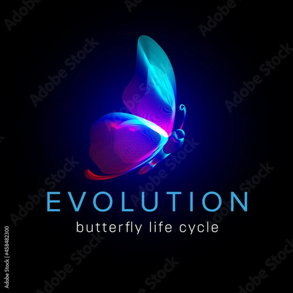 Fototapeta Evolution butterfly life cycle. Flying moth neon silhouette in 3D line art style. Vector illustration of glowing papillon wireframe side view isolated on a dark background
