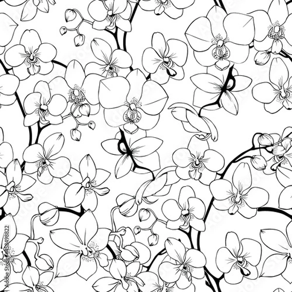 Obraz Seamless pattern with orchids line art. Vector flower background.