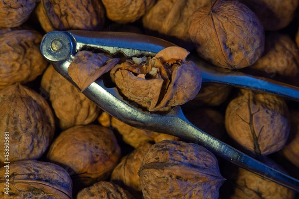 Obraz Une autre noix cassée