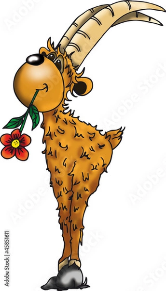 Fototapeta Koziorożec indywidualnie