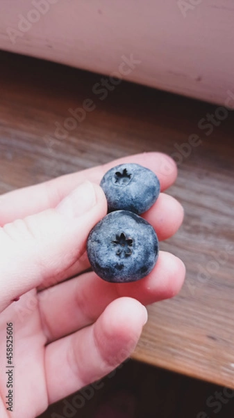 Obraz blueberries in a hand