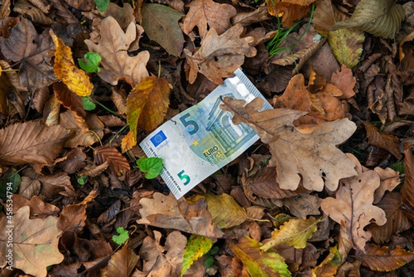 Fototapeta Vista ad alto angolo di una banconota da 5 euro su un tappeto di foglie secche. Albero dei soldi...