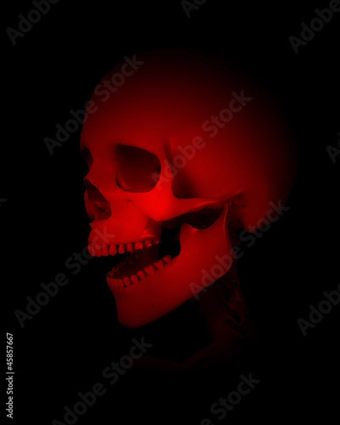 Obraz Colour Skull Head
