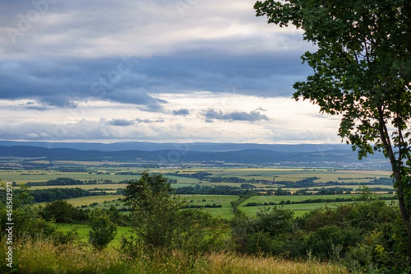 Fototapeta landscape with trees