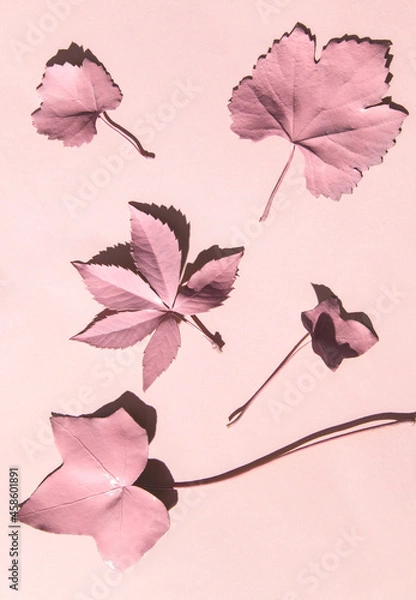 Fototapeta Monochromatic fall concept. Light pink leaves on pastel background. Minimalistic autumn composition. Nature flat lay idea.