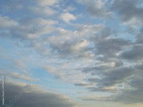 Obraz Tudor Schleurholts