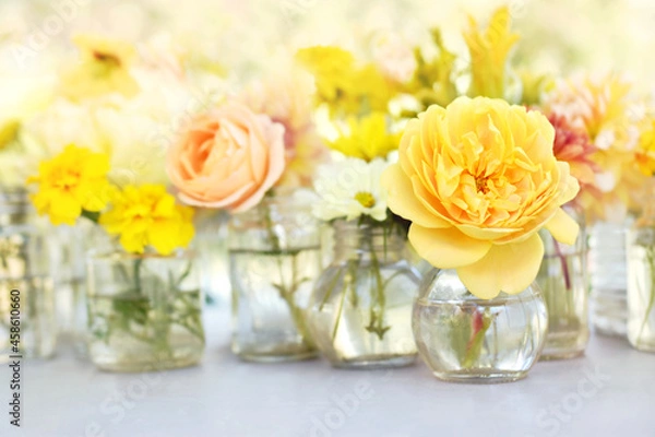 Obraz Delicate blossoming yellow rose flowers, blooming festive fall frame background, autumn bouquet floral card, shallow DOF, selective focus, toned