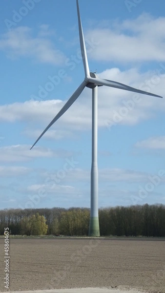 Obraz Tudor Schleurholts