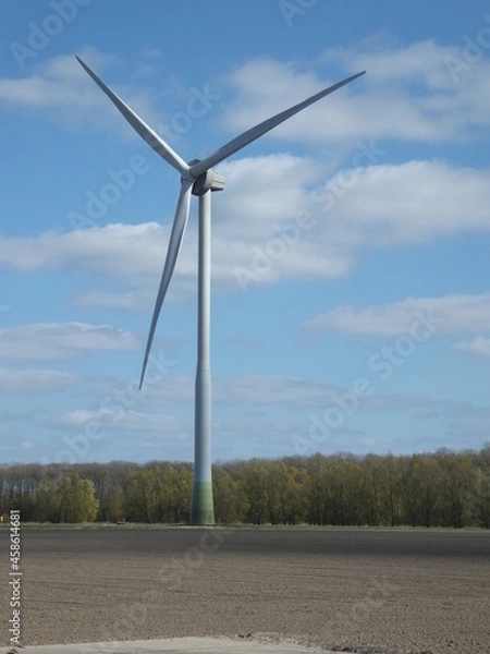 Obraz Tudor Schleurholts