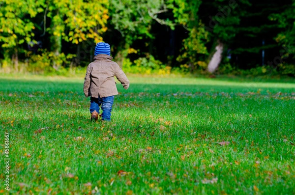 Fototapeta herbstwiese