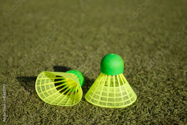 Obraz Badminton balls