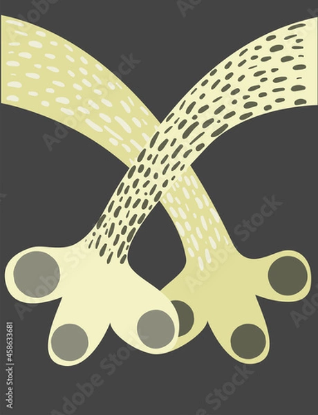 Fototapeta Two paws of animals, friendship symbol. Vector