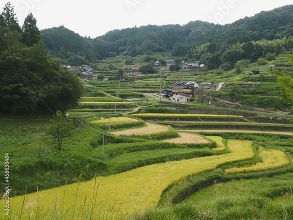 Obraz 兵庫県佐用町乙大木谷の棚田