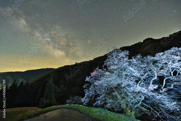 Obraz 長野県阿智村にある駒つなぎの桜と天の川