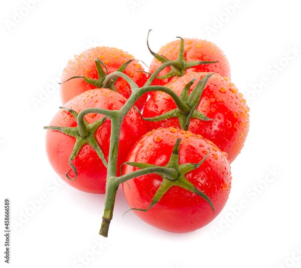 Obraz Tomatoes isolated on white. Tomato with drops. Full depth of field