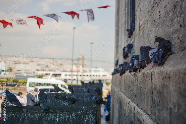 Obraz istanbul holiday