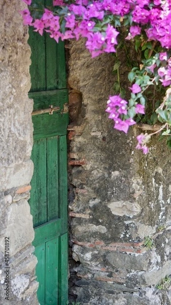 Obraz Hidden door with flowers