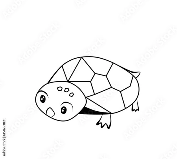 Fototapeta Turtle painting