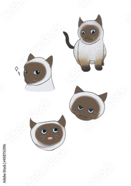 Fototapeta set of handsome cats